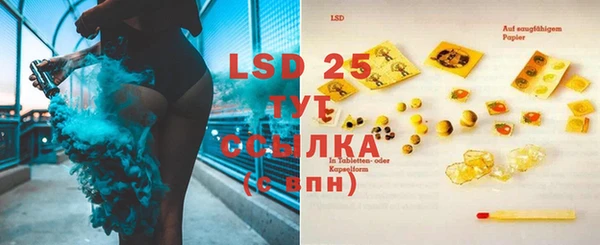 прущие грибы Баксан