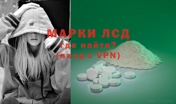 шишки Балабаново