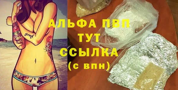 прущие грибы Баксан