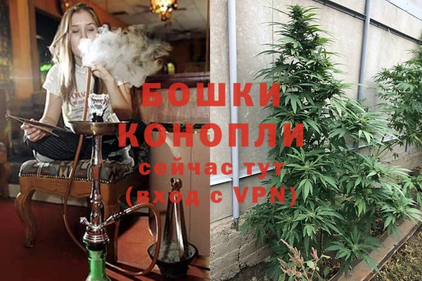 шишки Балабаново