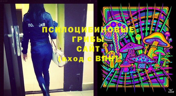 шишки Балабаново