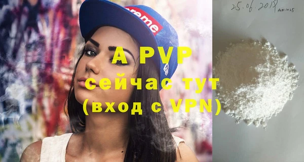 прущие грибы Баксан
